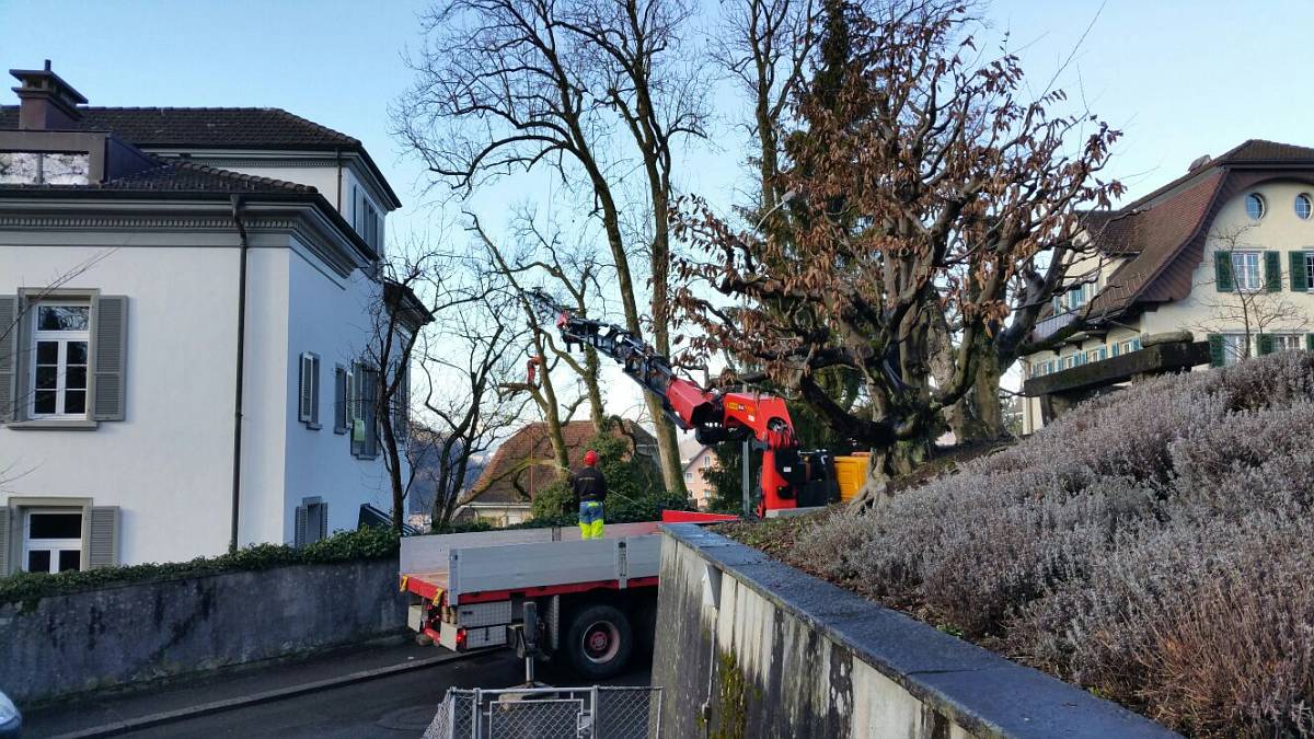 4-Achser 85mt. Ladebrücke, Foto 5